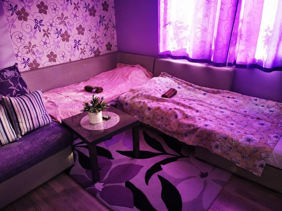 Apartment Lavender, Near To Airport Sofia Extérieur photo